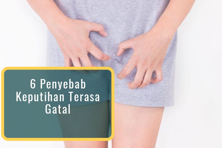 Keputihan Terasa Gatal Ketahui Penyebab dan Ciri cirinya Keputihan Terasa Gatal Ketahui Penyebab dan Ciri cirinya