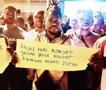 87+ Gambar Babi Dan Monyet Paling Keren 87+ Gambar Babi Dan Monyet Paling Keren