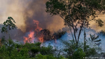 Hutan Amazon Terbakar Hebat Tagar Prayfortheamazon Hutan Amazon Terbakar Hebat Tagar Prayfortheamazon