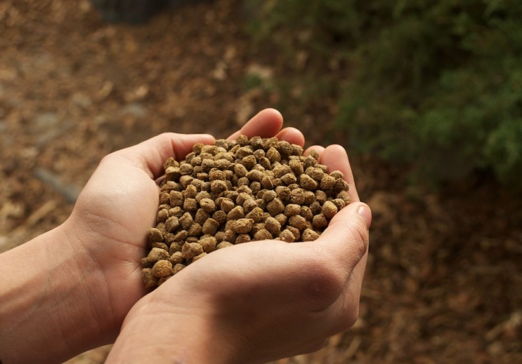 Kunci Sukses Usaha Makanan Ternak Beromset Milyaran Halaman All Kompasiana Com