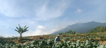 Kata Kata Mutiara Gunung Gede - kata kata buat status