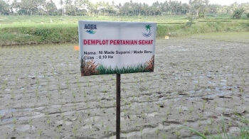 Desa wisata organik lombok kulon