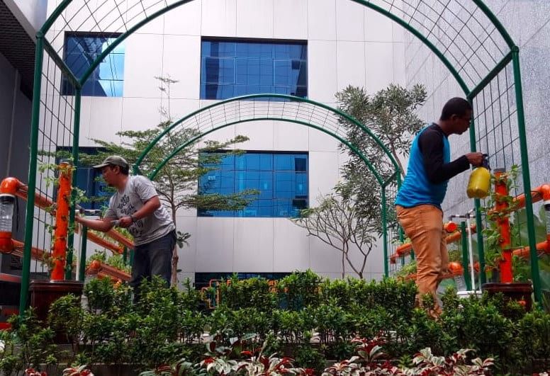 Menciptakan Ketahanan Pangan Dengan Urban Farming Halaman 1 ...