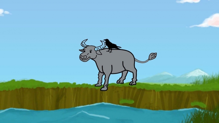Gambar Kartun Kerbau Dan Burung Jalak Gambar Kartun Gambar Kartun Kerbau Dan Burung Jalak Gambar Kartun