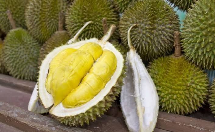 https://assets-a2.kompasiana.com/items/album/2019/11/13/images-3-5dcb8561097f3604940704f2.jpeg?t=o&v=760