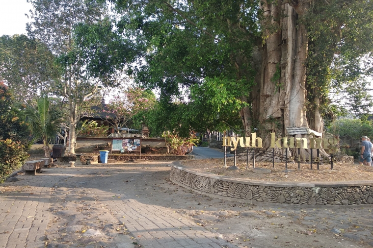 Tenang dan Damai di Desa Nyuh Kuning Ubud