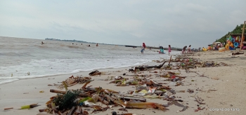 Sampah Kayu Berserakan Di Sepanjang Garis Pantai Teluk Awur Sampah Kayu Berserakan Di Sepanjang Garis Pantai Teluk Awur