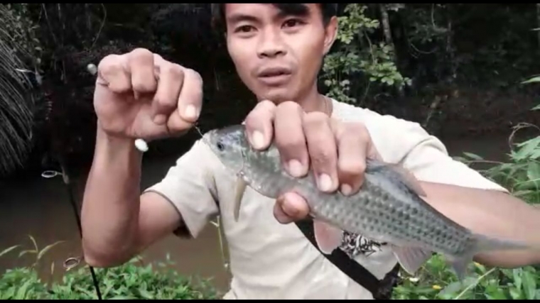 Strike Bertubi Tubi Yang Ke 7 Dapat Babon Mancing Ikan Di Sungai Brantas Pake Umpan Andalan Youtube