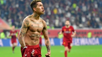 Hasil gambar untuk firmino