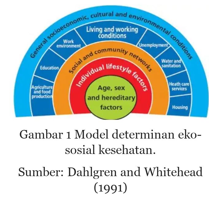 Determinan EkoSosial Kesehatan dan Perlunya Kebijakan Publik yang