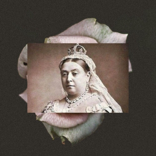 Victoria ratu Cokelat dari