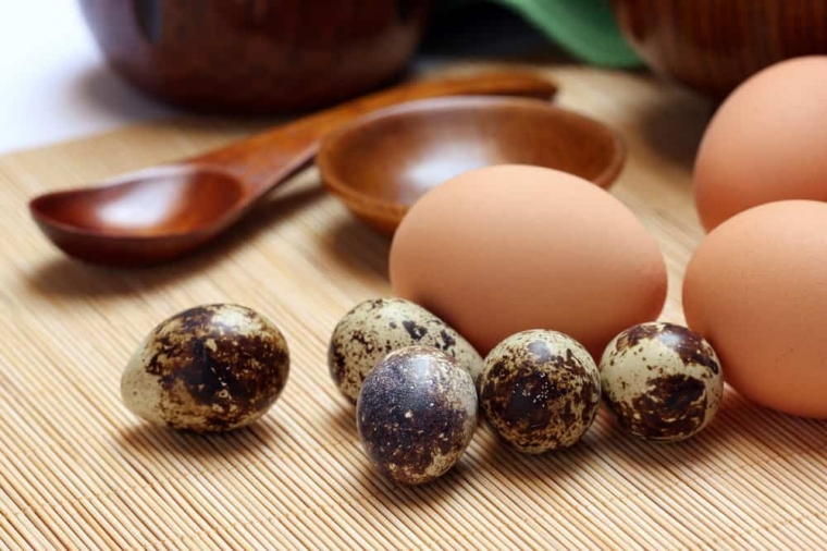 Telur Vs Rokok, Sebuah Pilihan Hidup