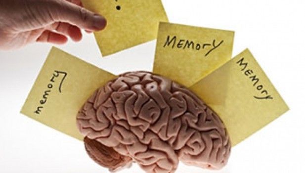 Meningkatkan Fungsi Otak dan Memori dengan Bawang Merah: Meningkatkan Kecerdasan Alami