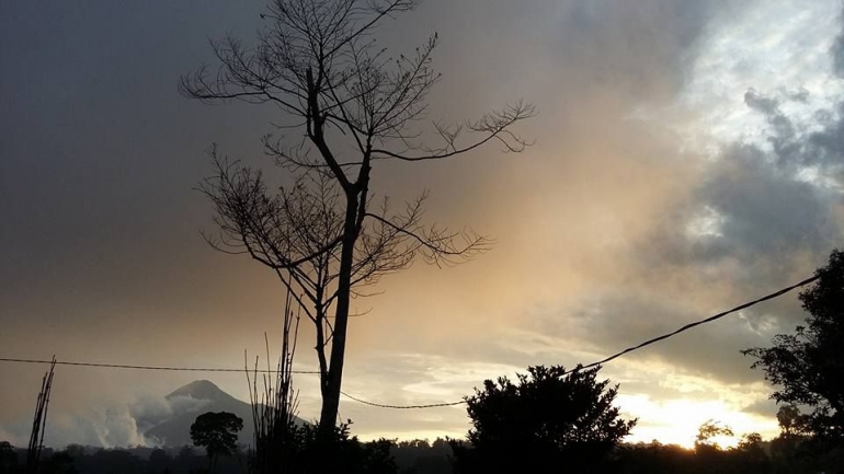 Puisi Rindu Kampung Halaman Puisi Rindu Kampung Halaman