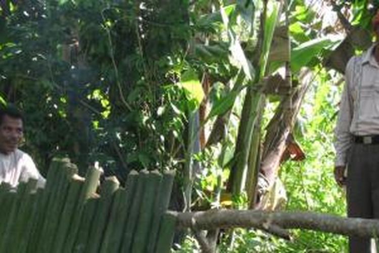 Memilih Tinggal di Kebun Agar Menghindari Virus Corona, Solutif Kah?