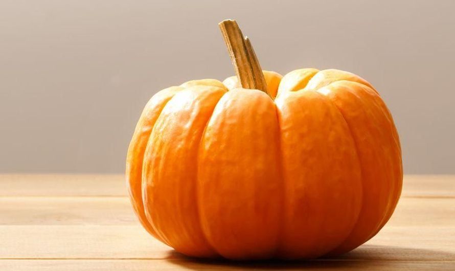 Donat  Labu  Menu Iftar Nikmat oleh Tiv Firsta Kompasiana com  Donat  Labu  Menu Iftar Nikmat oleh Tiv Firsta Kompasiana com