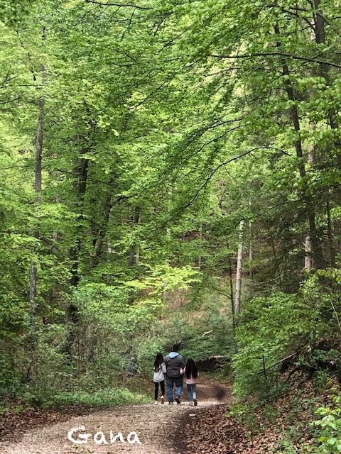 Ngabuburit di Hutan, Berani?