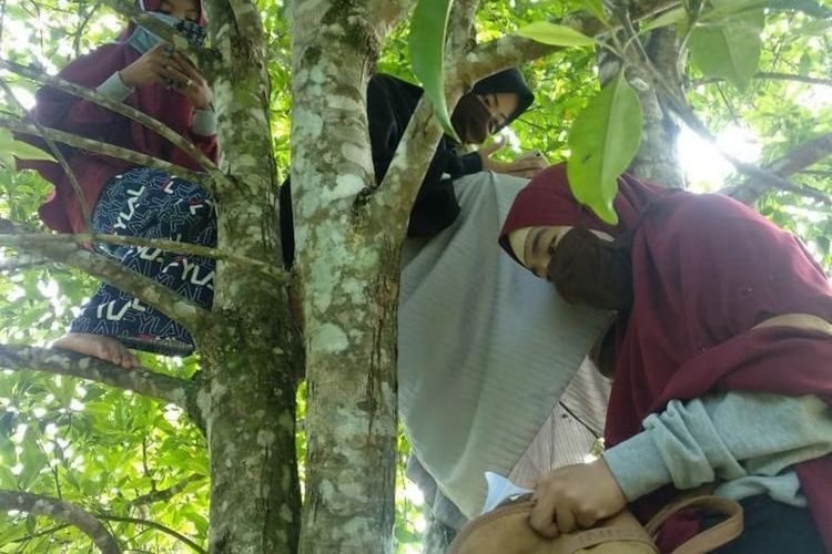 Miris Juga, Demi Pendidikan Mahasiswi Ini Nekat Manjat Pohon