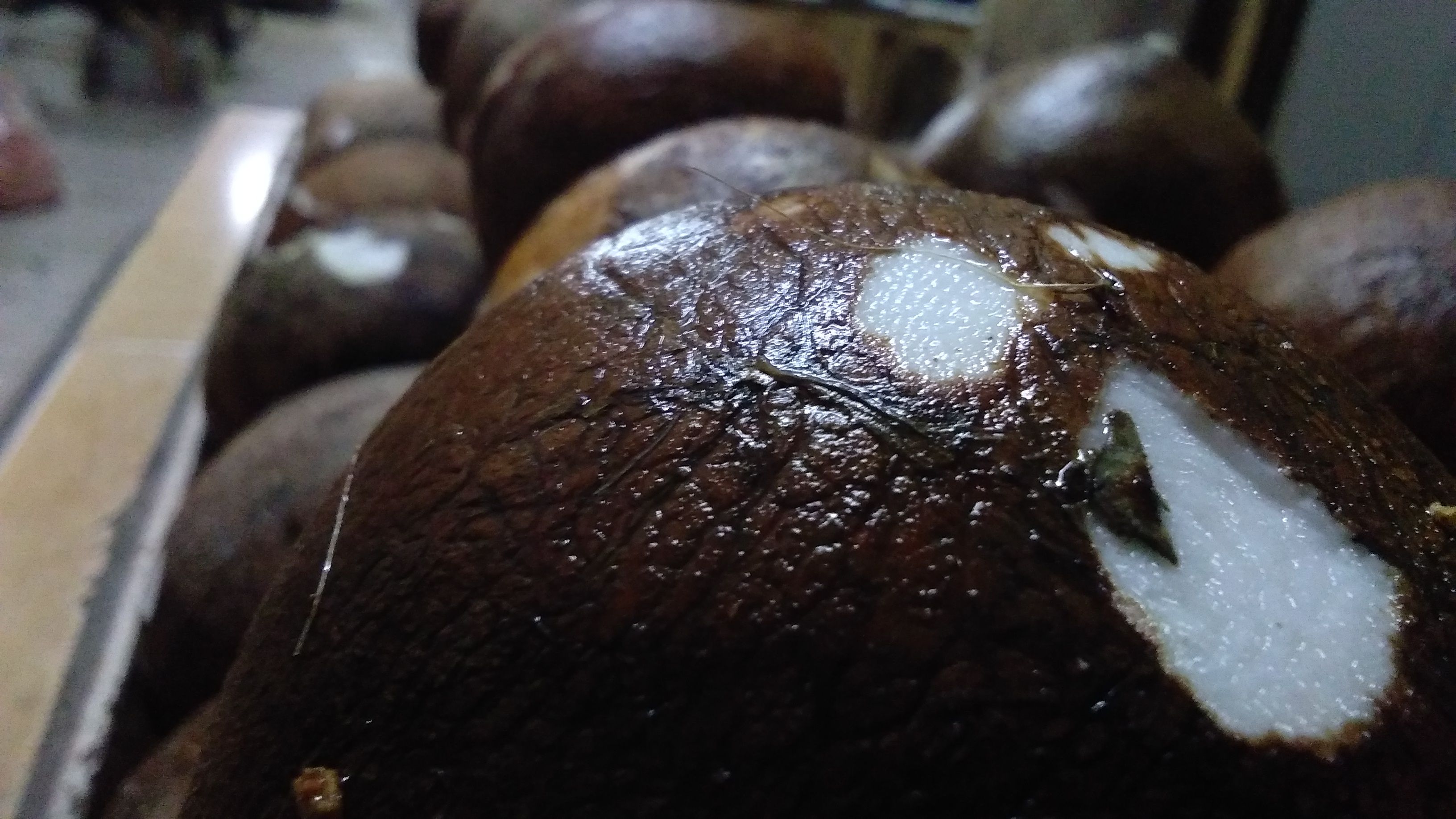 Buah Kelapa, Buah Incaran Menjelang Hari Raya