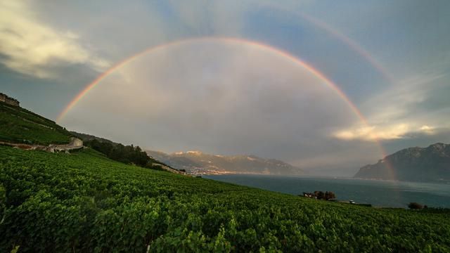 Mengenal Busur Kabut Pelangi yang tak Merah Kuning Mengenal Busur Kabut Pelangi yang tak Merah Kuning