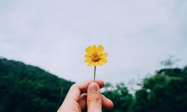 Puisi  Kata  Maaf yang  Belum  Tersampaikan Kompasiana com  Puisi  Kata  Maaf yang  Belum  Tersampaikan Kompasiana com