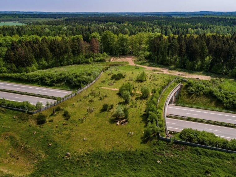 Wildbrücke, Jembatan Penyeberangan Satwa Liar di Jerman