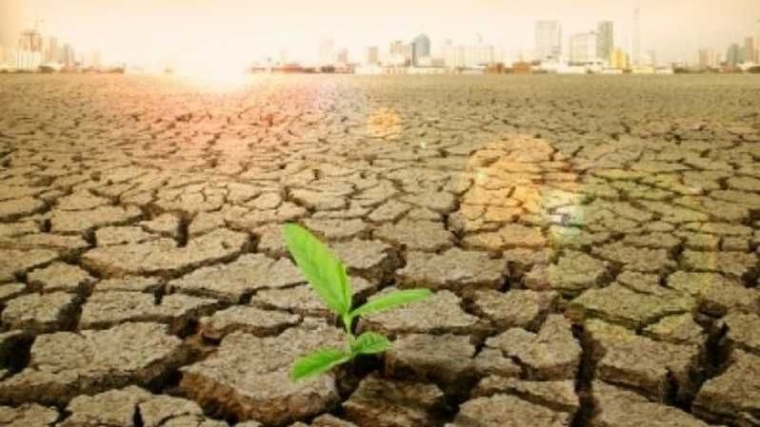 Bumi Sedang Mengalami Kepunahan Massal, Apa yang Bisa Kita Lakukan?