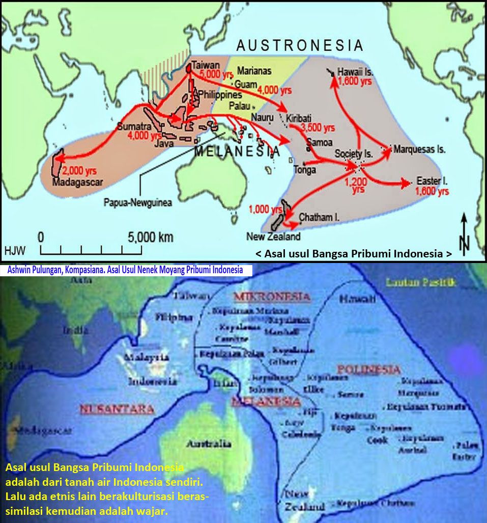 Asal Usul Nenek Moyang Pribumi Asli Bangsa Indonesia Halaman 1 ...