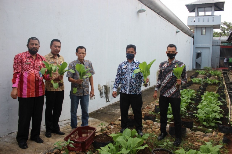 Lapas Ciamis Panen Sayuran, Dukung Program Ketahanan Pangan Nasional