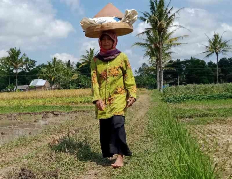 Yuk Sekali Waktu Jalan Santai  Tanpa Alas  Kaki  Yuk Sekali Waktu Jalan Santai  Tanpa Alas  Kaki