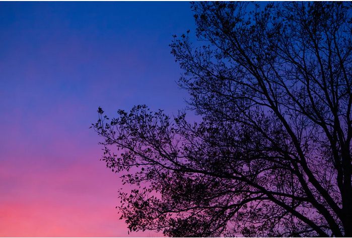 Maret Hibernasi  Halaman 1 Kompasiana com Maret Hibernasi  Halaman 1 Kompasiana com