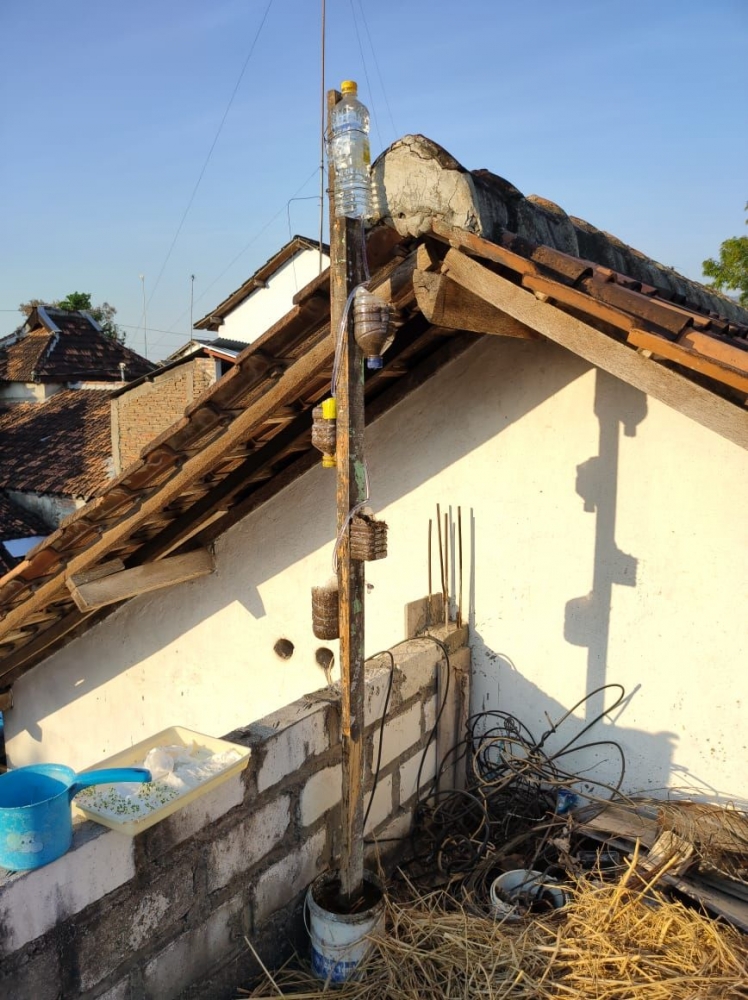 Lahan Anda Sempit Vertikultur Menjadi Penyelamat Anda Lahan Anda Sempit Vertikultur Menjadi Penyelamat Anda