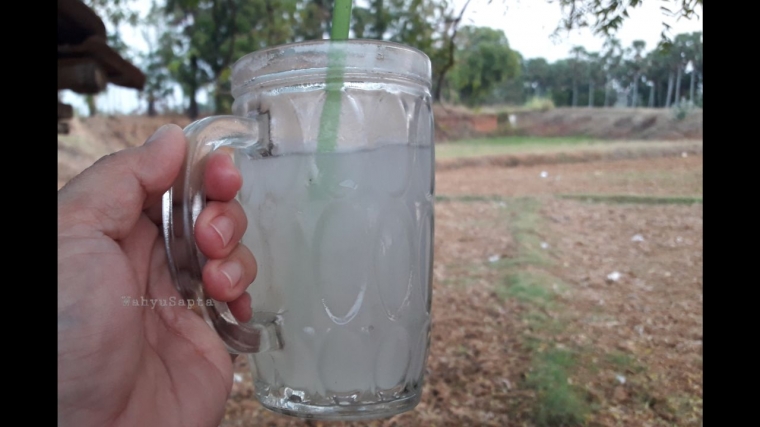 Menikmati Segarnya Es Legen Yang Baru Disadap Halaman 1 Kompasiana Com