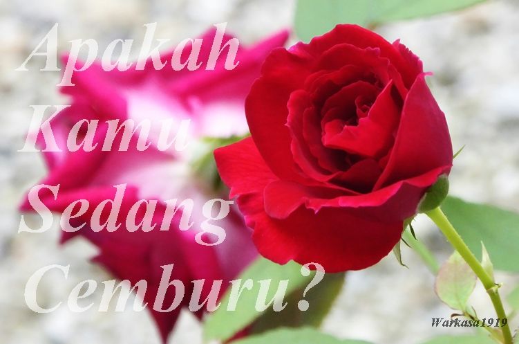 Apakah Kamu Sedang Cemburu  Ini Tanda tandanya Halaman 1  Apakah Kamu Sedang Cemburu  Ini Tanda tandanya Halaman 1