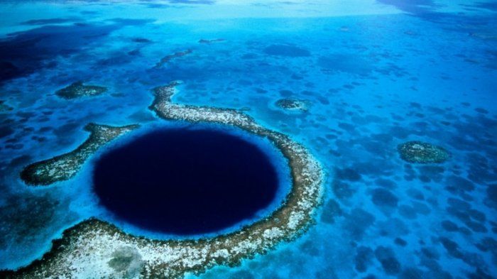 Misteri Makhluk Palung Mariana yang Bikin Merinding