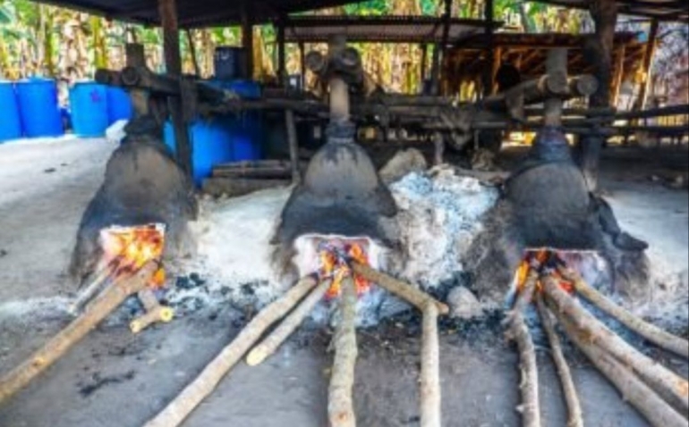 Sopi  Minuman Beralkohol Khas NTT Kompasiana com  Sopi  Minuman Beralkohol Khas NTT Kompasiana com