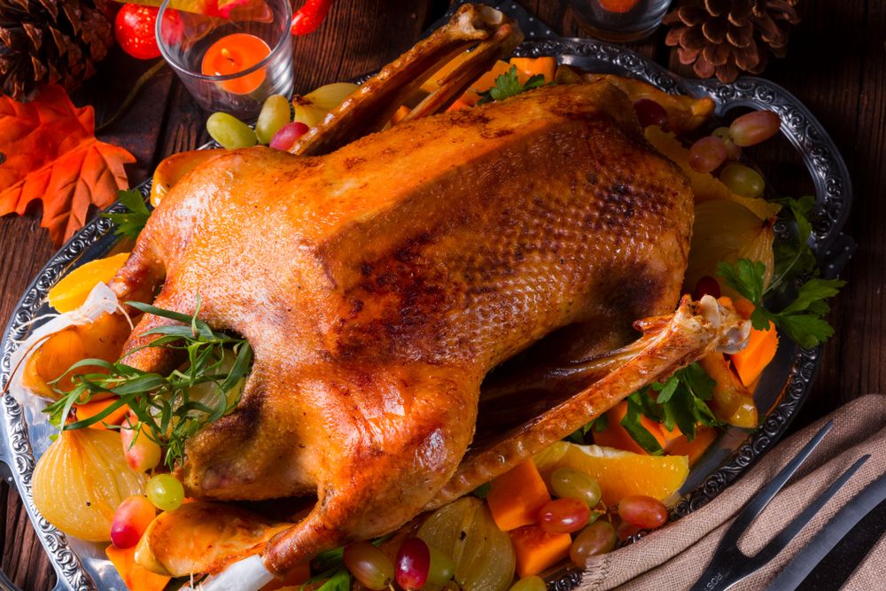 Masakan Daging Angsa, Menu Tidak Biasa yang Pernah Kami Konsumsi