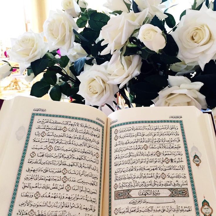 Dari Memperlancar Rezeki hingga Menangkal Sihir, Inilah 10 Surat Khusus dalam Al-Quran yang Bisa Kita Amalkan