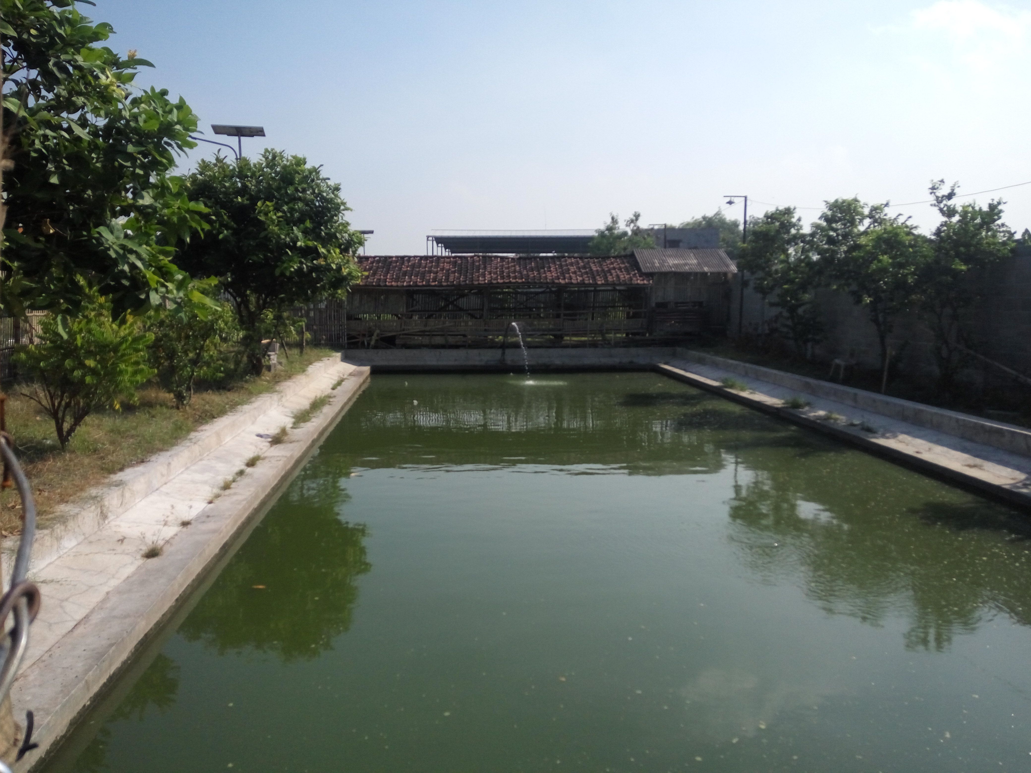 Olahraga Ringan Keliling Kolam