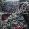 Bahan Baku Mayoritas Industri Kertas adalah Sampah Impor