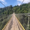 "Jembatan Gantung Situ Gunung" Objek Wisata Alam Pilihan untuk Liburan Akhir Tahun