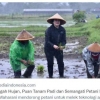 2 Alasan Petani Tidak Bertani di Kala Hujan