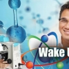 Wake Up! Ternyata Kita Belajar Teknologi Nano dari "Museum"