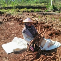 Pangan untuk Masa Depan: Bantu Petani Adaptasi Hadapi Krisis Iklim
