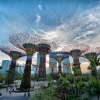 Peringkat 9 Kualitas Udara Terburuk Dunia, Jakarta Butuh Connector Parks?