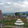 Selosia, Wisata Taman Bunga di Bandungan, Semarang