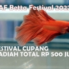 Festival Ikan Cupang Berhadiah Total Rp 500 Juta