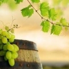 Yesus Mengubah Air Menjadi Anggur, Ini Maknanya! (Yoh 2 :1-11)