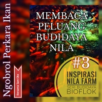 Inspirasi Nila Farm #3: Membaca Peluang Budidaya Nila