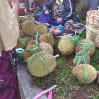 Bau Durian